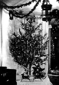 Johnson Christmas Tree
