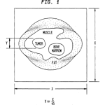 Lauterbur's 1992 patent on NMR magnetic imaging.